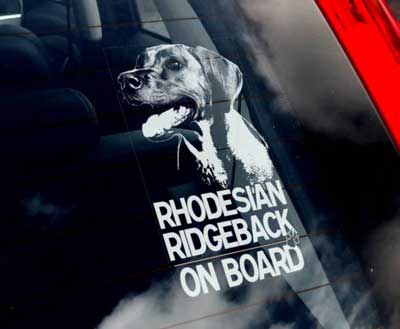 Rhodesian ridgeback bildekal - on board