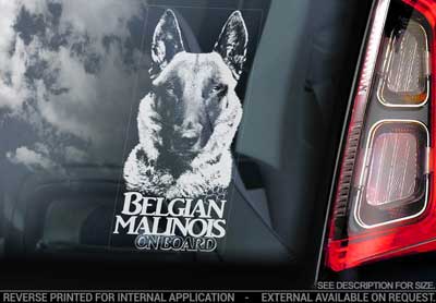 Belgisk vallhund malinois bildekal V17 - on board