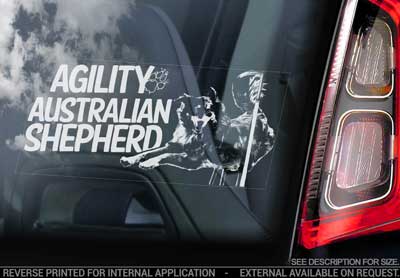 Australian shepherd (agility) bildekal V6 0 - on board