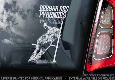 Berger des pyrénées à poil long bildekal V6 - on board