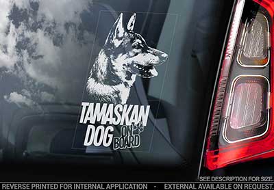 Tamaskan dog bildekal V1 - on board