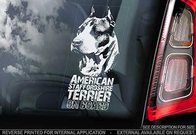 American staffordshire terrier bildekal V12 - on board