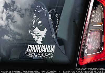Chihuahua (långhårig) bildekal V4 - on board