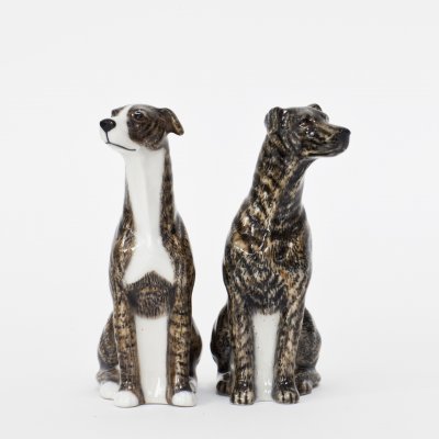Greyhound salt & pepparkar x