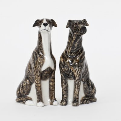 Greyhound salt & pepparkar x