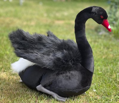 Svan mjukisdjur 45 cm 4084 Hansa Black Swan