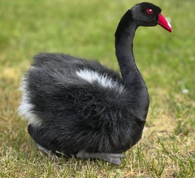 Svan mjukisdjur 27 cm 4086 Hansa Black Swan