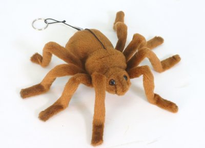 Spindel mjukisdjur bbrown widow 5749 Hansa
