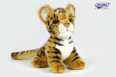 Hansa Tiger Cub