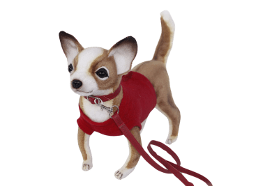 Chihuahua (korthårig) mjukisdjur 7551 Hansa