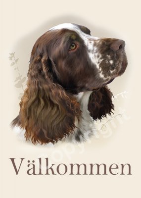 Engelsk springer spaniel skylt