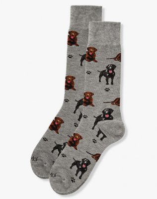 Labrador retriever strumpor herr IC
