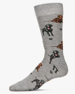 Labrador retriever strumpor herr IC