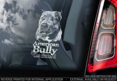 American bully bildekal