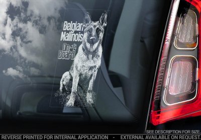 Malinois bildekal