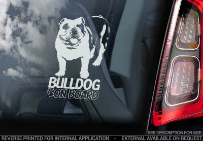 Engelsk bulldogg bildekal