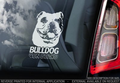 Engelsk bulldogg bildekal