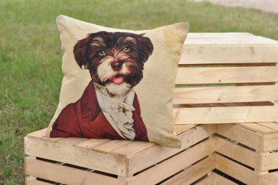 Hund kuddfodral