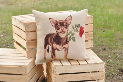 Chihuahua (korthårig) kuddfodral 3