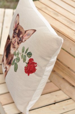 Chihuahua (korthårig) kuddfodral 3