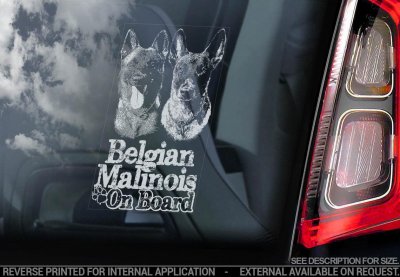 Malinois bildekal