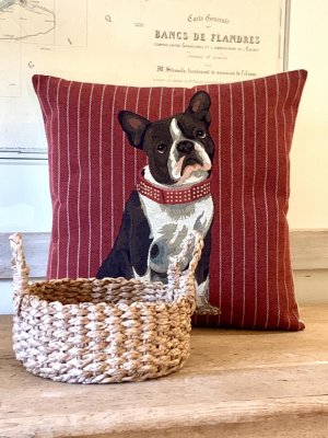 Bostonterrier kuddfodral 45 cm från Belgien 3