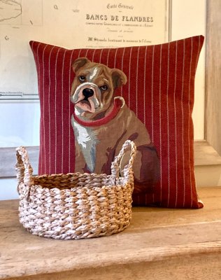 Engelsk bulldogg kuddfodral 45 cm från Belgien 2