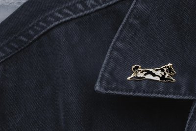 Mudi emaljpin/brosch olika färger K B