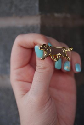 Labrador retriever emaljpin/brosch olika färger K B