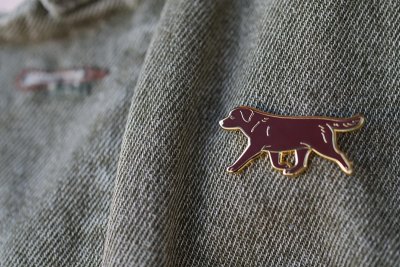 Labrador retriever emaljpin/brosch olika färger K B