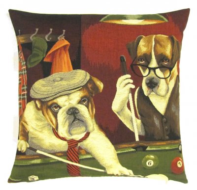 Boxer kuddfodral 45 cm från Belgien 2