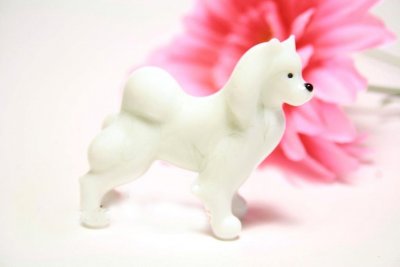 Samojedhund mini-glashund