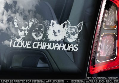 Chihuahua bildekal