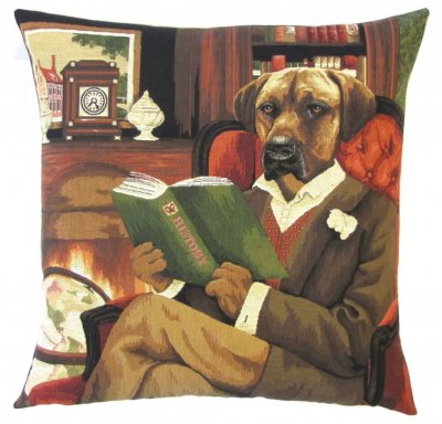 Rhodesian ridgeback kuddfodral 35 cm från Belgien