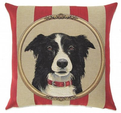 Border collie kuddfodral 45 cm från Belgien