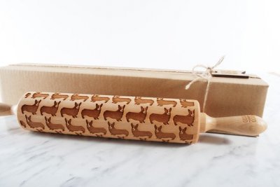 Welsh corgi pembroke kavel 2