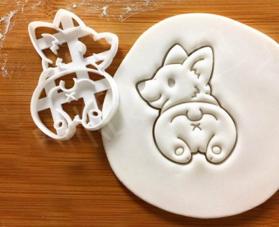 Welsh corgi pembroke kakform