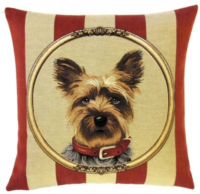 Yorkshireterrier kuddfodral 45 cm från Belgien 2