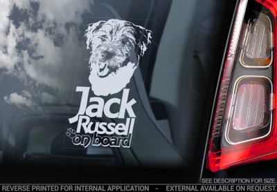 Jack russell terrier bildekal V8 - on board