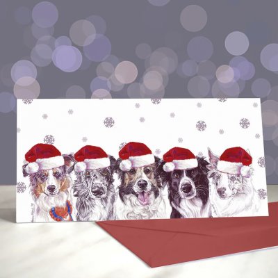 Border collie julkort Amber Marie 2