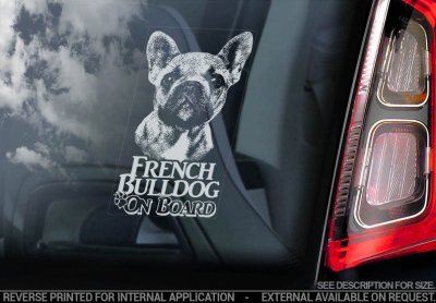 Fransk bulldogg bildekal V5 - on board