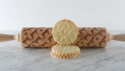 Korthårig vorsteh kavel 1