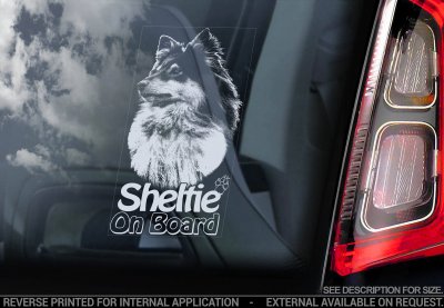 Shetland sheepdog (Sheltie) bildekal V2 - on board