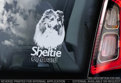 Shetland sheepdog (Sheltie) bildekal V4 - on board