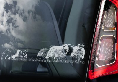 Border collie bildekal V11 - on board