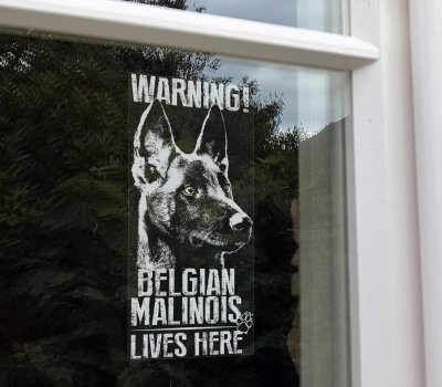 Belgisk vallhund malinois dekal Belgian malinois lives here V29