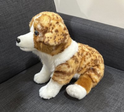 Australian shepherd mjukisdjur Valley red merle 38 cm Prime Shiba