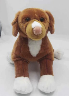 Nova scotia duck tolling retriever mjukisdjur 55 cm Juno Prime Shiba