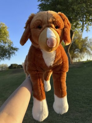 Nova scotia duck tolling retriever mjukisdjur 55 cm Juno Prime Shiba