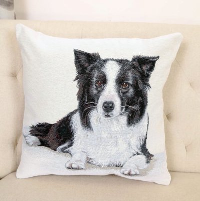 Border collie kuddfodral dubbelsidigt 1